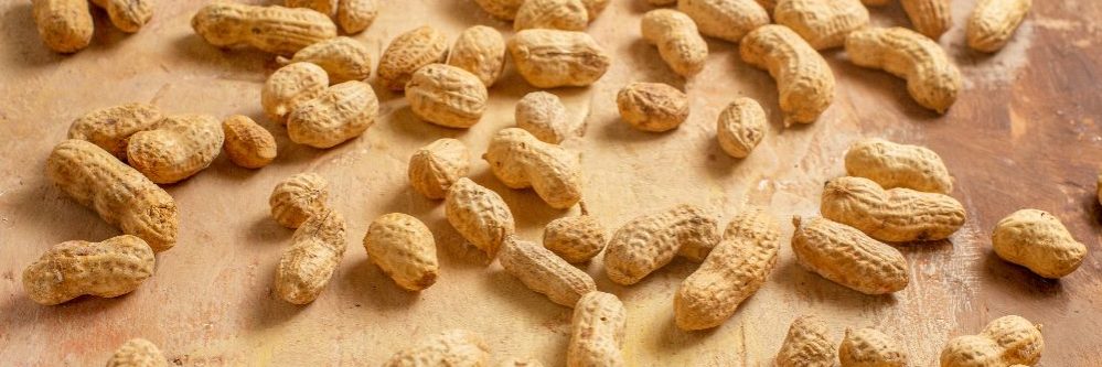 Get to know all the options for processed peanuts - ITAC PROFESSIONAL